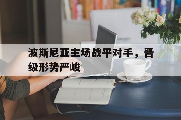 DB体育官方app下载-波斯尼亚主场战平对手，晋级形势严峻
