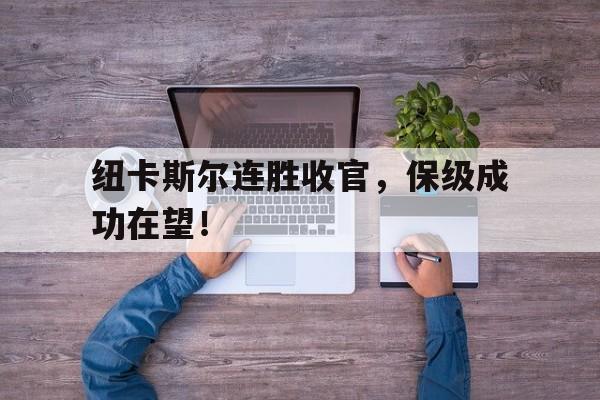 DB体育电竞-纽卡斯尔连胜收官，保级成功在望！